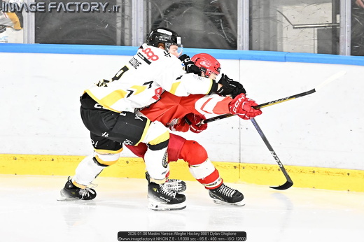 2025-01-06 Mastini Varese-Alleghe Hockey 0981 Dylan Ghiglione
